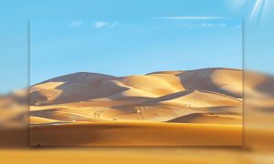 14-LWT ( Transparent ) – Image 2